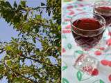 Vin de cerises