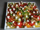 Assiette de tomates colorées