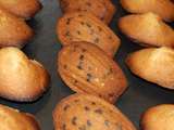 Madeleine aux pépites de chocolat