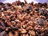 Granola façon Quakers choco-tonka-noix