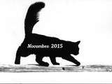 Du mois de novembre 2015