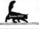 Janvier 2015