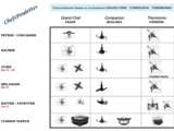 Concordances lames entre différents robots