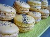 Macaron au citron et pavot