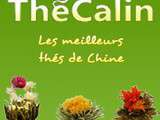 Nouveau partenaire: Thécalin