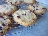 Sablés vanille aux cramberries et chocolat blanc