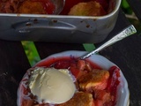 Cobbler de rhubarbe et prunes à la vanille et badiane (dessert facile)