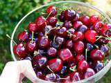 Pickled cherries (cerises au vinaigre aigre doux)