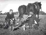 Ploughman’s Lunch