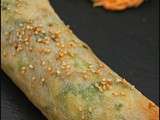 Spring Roll au poulet et piment vert – Salade de carotte et raisins au yaourt