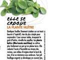 Plante huitre