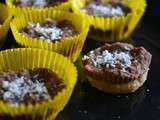 Bouchées biscuitées coco/chocolat