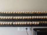 Épices pour cuisiner en Nouvelle Mamigozie