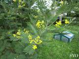 Première Balade de Printemps au Jardin de Fille