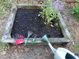 Tonte et plantation tomates, avant la pluie annoncée