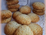 Biscuits noix de coco/ graines de chia