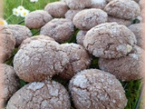 Cookies tout choco fourrés à la pâte à tartiner 🍪