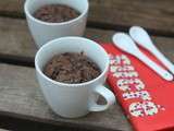 Fameux mug cake au chocolat ou comment se remonter le moral quand il est au plus bas