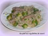 Riz pilaf aux aiguillettes de canard