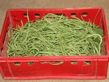 Vous cherchez une idée pour utiliser de gros haricots verts ?....Faites comme moi