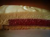 Entremet ou bûche Framboise/chocolat blanc