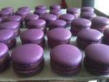 Macarons Cassis selon christophe Felder