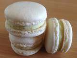 Macarons Mojito