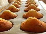 Madeleines de Claire Heitzler