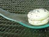 Macarons fromage frais, fines herbes et piment d'Espelette