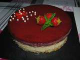 Entremet chocolat blanc / fraises