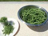 Haricots verts du jardin