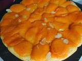 Tarte Tatin aux abricots