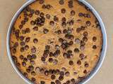 Chocolate chip cake