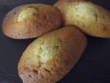 Madeleines de Claire Heitzler