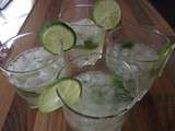 Mojito Thermomix