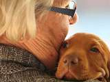 Meilleurs animaux de compagnie pour les seniors