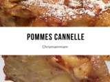 Gâteau tout léger aux pommes cannelle