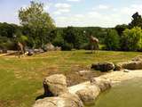 Visite familiale au Zoo de Beauval