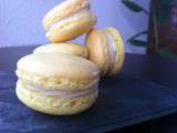 Macaron Vanille