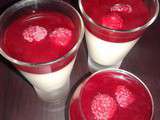 Panacotta Framboise