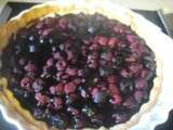 Tarte framboises et coulis de mures sauvage