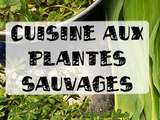 Stage de cuisine aux plantes sauvages