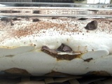 Somptueux Tiramisu aux Amandes (Sans Gluten)