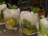 Comment faire un mojito de 1 litre