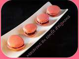 Macarons au confit d'oignons