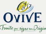 Ovive