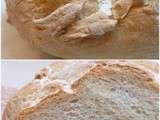 Pain de Campagne (Levure Demarle Gourmandise)