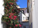 On se perd dans les ruelles Catalanes