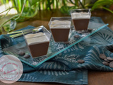 Panna Cotta gourmande ~ Noix de coco & chocolat