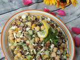 Salade de pois chiche & lentilles – Chick peas & lentils salad